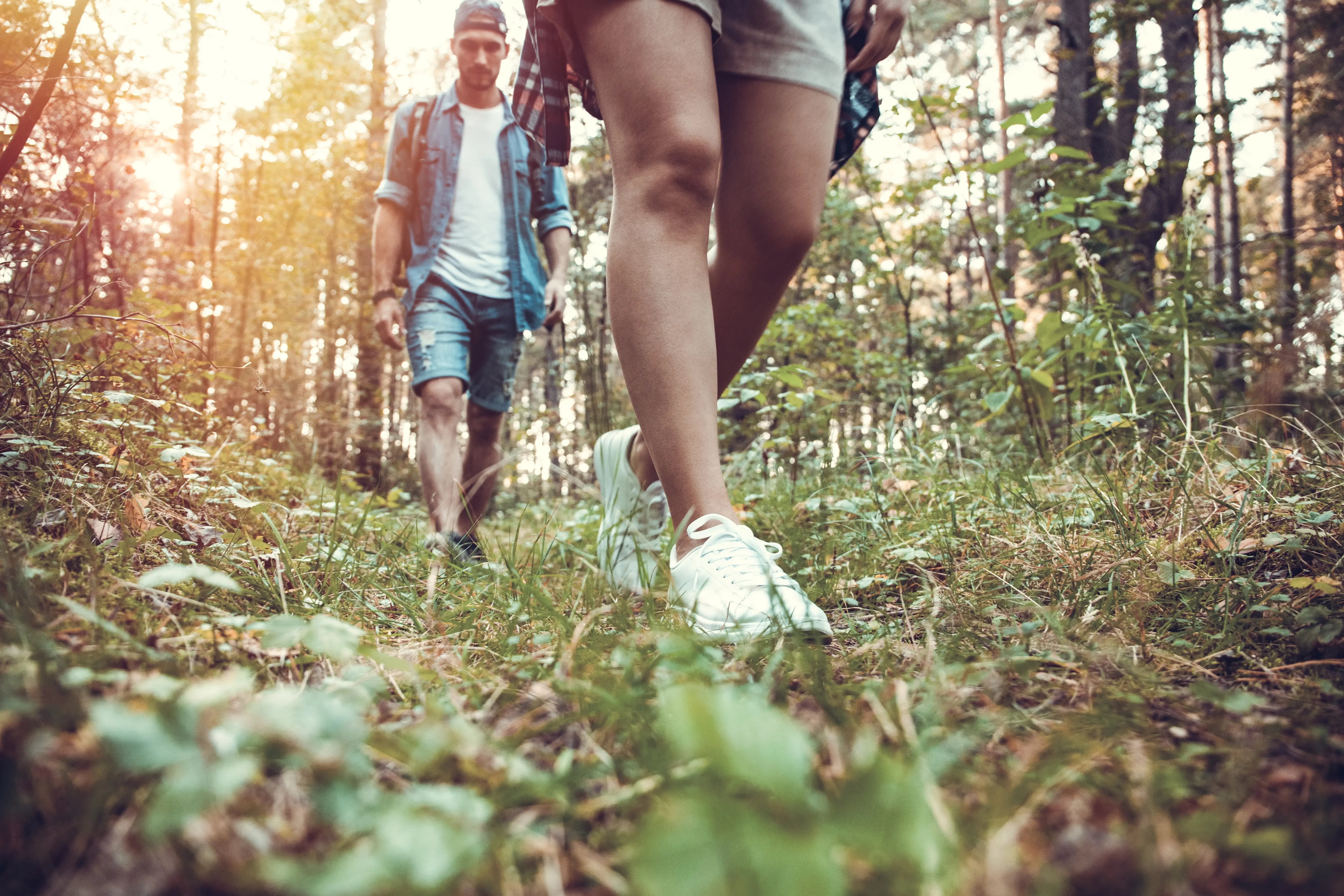 group of man and women during hiking excursion in woods